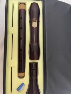 Item thumbnail for item ea10ad51-58d4-4bcb-a5cc-75b13149913c