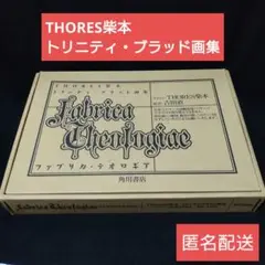 トリニティ・ブラッド画集 ファブリカ・テオロギア Amazon.com: Faburika Teorogia: Tōresu Shibamoto Toriniti