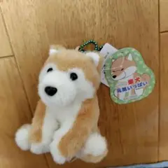 くったり 柴犬 元気いっぱい キーホルダー　マスコット　しばいぬ