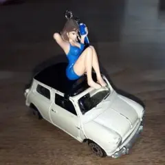 Item thumbnail for item 4006fb6a-d1c7-42ac-81ac-144658bcbabd