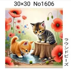 ダイヤモンドアートキット No1606