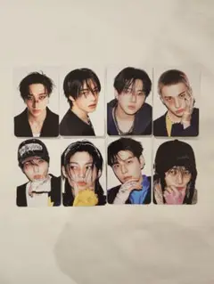 straykids KARMA SKZOO ver 封入トレカ 8枚セット