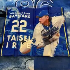 横浜DeNAベイスターズ　選手デザイン　スタジアムシートクッション　入江大生