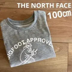 THE NORTH FACE 100㎝　です。