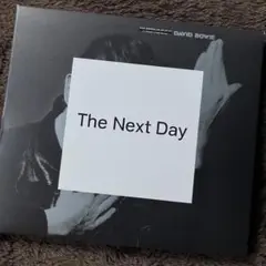 デヴィッド・ボウイ David Bowie The Next Day DIG