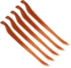 Item thumbnail for item 590be810-fc07-4733-b161-d2030ee7c261