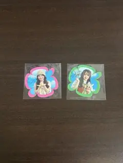佐藤璃果 矢久保美緒 マグネットシート