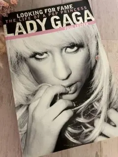 LADYGAGA BOOK