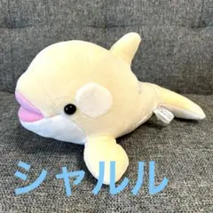 須磨シーワールド　オルカくじ　フローラルホワイト　限定色　須磨シー