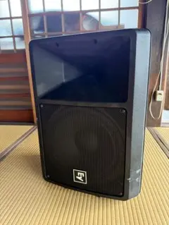 Electoro-voice EVエレクトロボイス SX300 中古 ジャンク Electro-Voice / エレクトロボイス EV SRスピーカー SX300 ペア