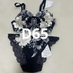 Salute ワコール D65 22グループ 22g KOカラー