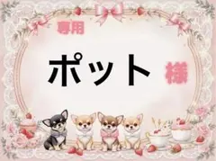 専用