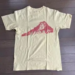 古着 Hawaii グラフィックTシャツ Boys Lサイズ