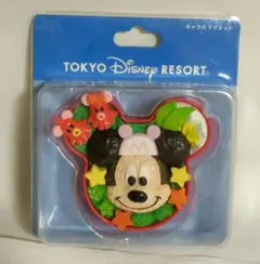 サイレントウィッチ　くじ引き堂　D賞　スクエア缶マグネット　モニカ　コンプセット サイレントウィッチ くじ引き堂 D賞 スクエア缶マグネット