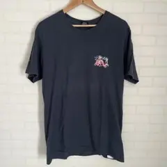 Stussy グラフィック Tシャツ Mサイズ ネイビー