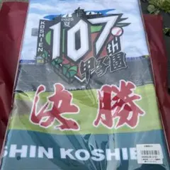 第107回全国高校野球選手権大会　決勝　日大三対沖縄尚学　フェイスタオル