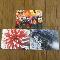 蜷川実花 ポストカード