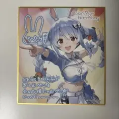 ホロライブ expo エキスポ 色紙 兎田ぺこら