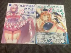 新品未読品 全巻 エロティカル・ウィザードと12人の花嫁 全巻セット 1巻 2巻