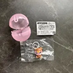 ヒスミニ　店舗限定　テディ