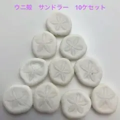 NO.34-42 サンドラー(ウニ殻) 10ケセット