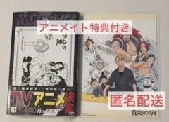 黄泉のツガイ 10巻 アニメイト 特典付き