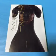 聖なるズー