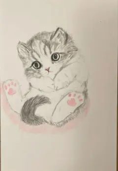 猫の鉛筆画 ポストカードサイズ　原画　絵　絵画　猫　手描きイラスト　尻尾〜♪
