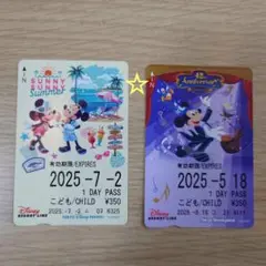 【未使用 期限切れ】ディズニーリゾートライン フリーきっぷ