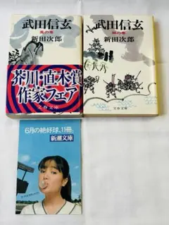 武田信玄 風の巻 林の巻 新田次郎 文藝春秋 文庫本