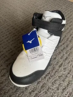 Item thumbnail for item b7a3bc44-c3fa-44c2-ba3e-a3ec3508f295