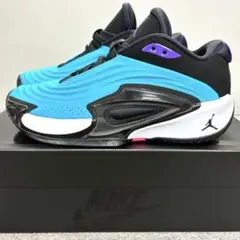 新品 NIKE ナイキ ジョーダン ルカ3 バスケットシューズ スニーカー 25