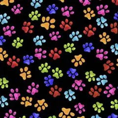 USA コットンロラライハリス Colorful Pows黒