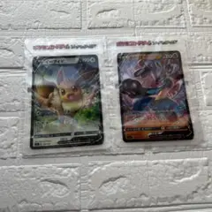 ポケモンカードゲーム ソールド&シールド ジッパーバッグ(イーブイ・ルカリオ)