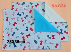 新品ランチョンマット2枚セット《No.G24》