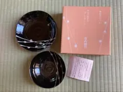 【箱付き新品】たち吉 小鉢2種2枚セット 梅枝