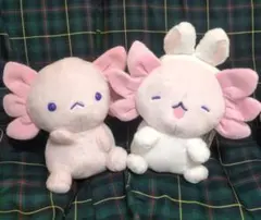 うーさーるーぱー　BIGぬいぐるみ ナムコ限定　2種セット　ウーパールーパー