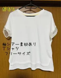シアー素材 ホワイト Tシャツ フリーサイズ　新品