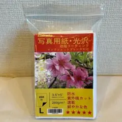 Item thumbnail for item a9fe4b7b-3c9a-4642-bd8b-79b4315a2e38