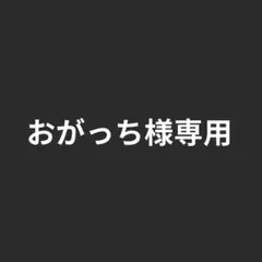 Insta360 Flow 2 Pro ホワイト