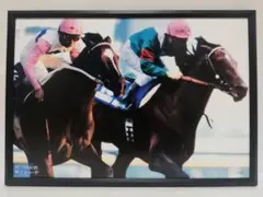 競馬.シンボリルドルフ.トウカイテイオー.パネル.喝采は受け継がれる