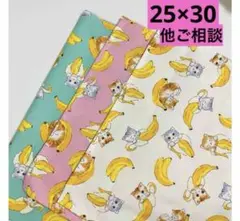 Item thumbnail for item 9ae9e4a4-a1d0-4197-818d-6b7d2d56b8f8