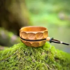 Item thumbnail for item bf987f07-b9f7-425a-9207-3f15b73a8d94