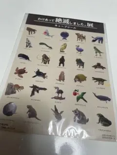 わけあって絶滅しました展 キューブシール