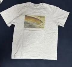 Brook Tシャツ グレー　Mサイズ