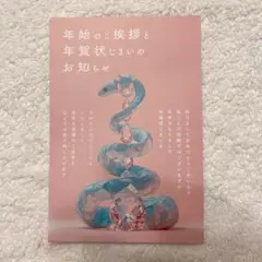年賀状じまい 10枚入り　ヘビ　年賀状じまいのお知らせ