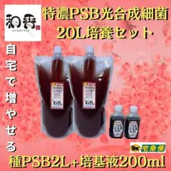光合成細菌PSB20L用培養セット 関連:めだか金魚ミジンコクロレラR
