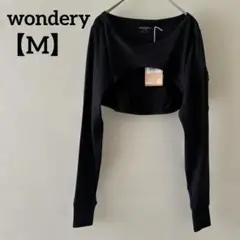 Item thumbnail for item 7a6ce827-7606-4617-b0cc-83e174522ee7