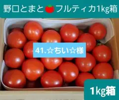41.☆ちい☆様 フルティカ1㎏箱