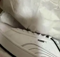 SnowMan×PUMAコラボSKYE LITE 2 渡辺翔太＆深澤辰哉モデル